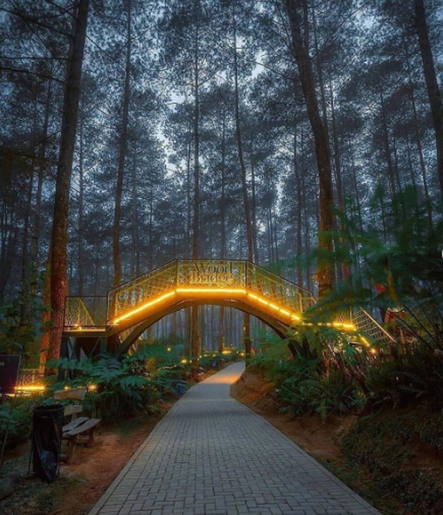 tempat wisata anak - Orchid Forest Cikole